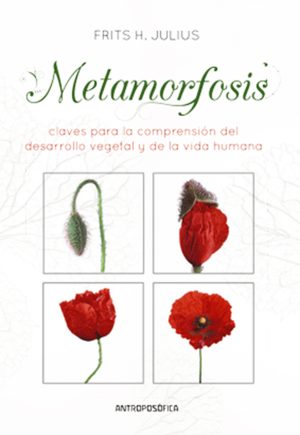 METAMORFOSIS