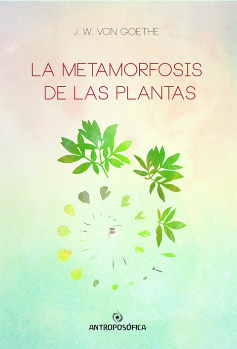 METAMORFOSIS DE LAS PLANTAS